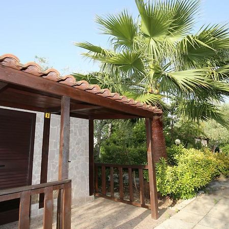 Agriturismo Da Mauro Vieste Zewnętrze zdjęcie